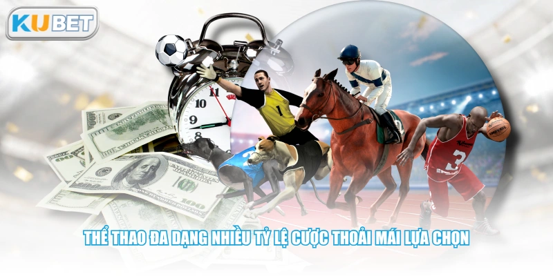 Thể thao đa dạng nhiều tỷ lệ cược thoải mái lựa chọn